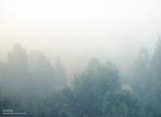 fog