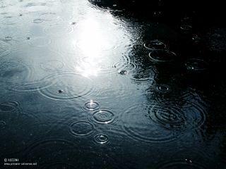 sun+rain