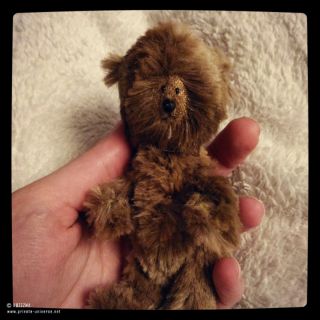 little teddy bear