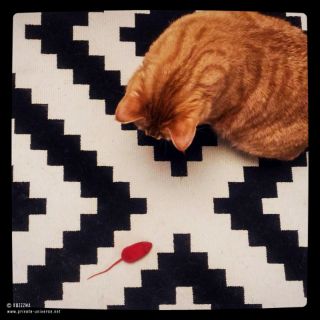 hunt for the red mouse