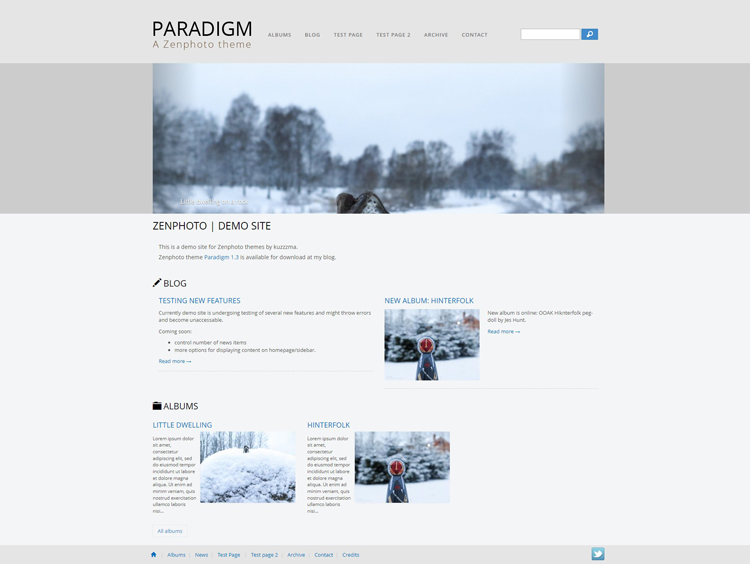 Paradigm 1.3: Homepage view